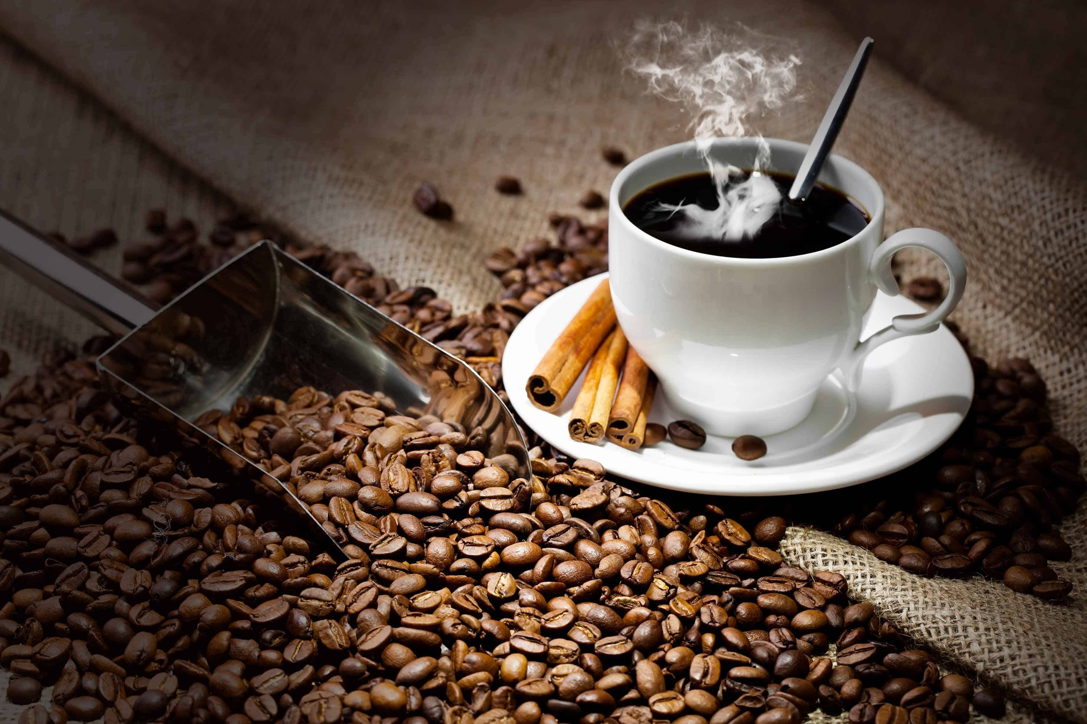 Sejarah Kopi di Indonesia